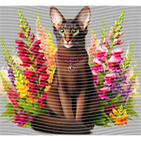 Animal Integration-DW 1928